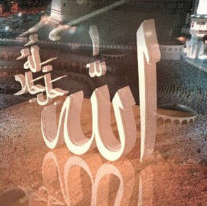 Meet your Posher, Nadira